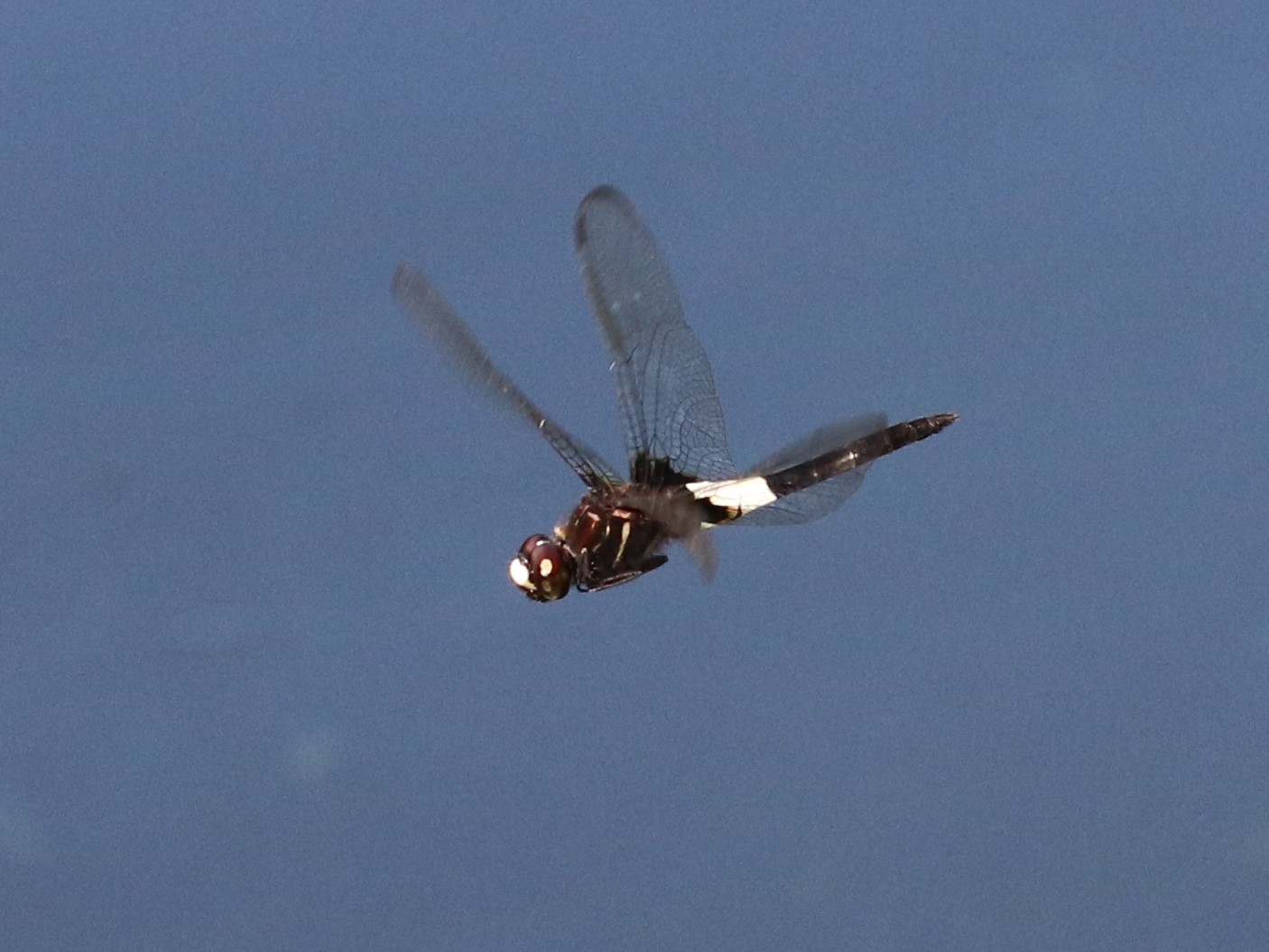 photo_2